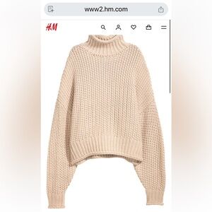 H&M Women's Beige Cowl Neck Sweater